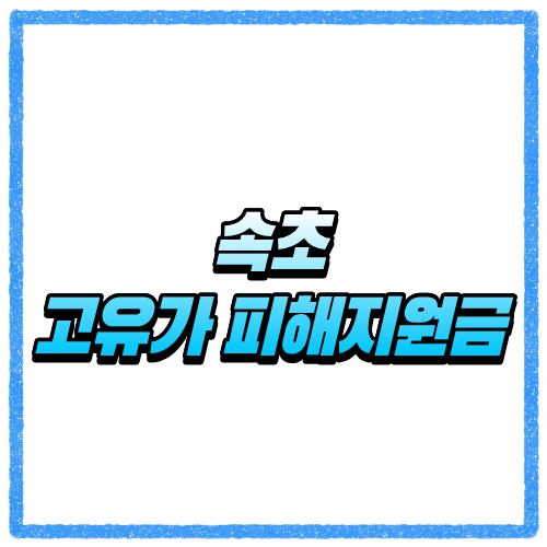 강원 속초시 고유가 피해지원금 신청방법, 대상 조회와 지급 기준 바로 확인